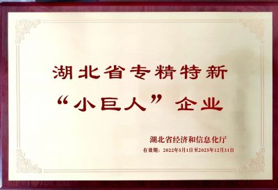 湖北省專(zhuān)精特新“小巨人”企業(yè)